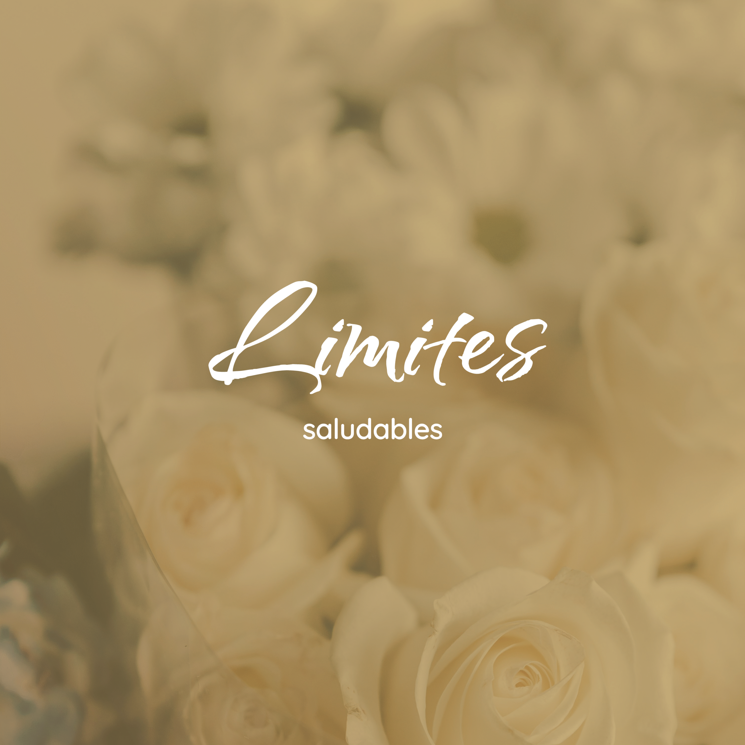 Limites Saludables
